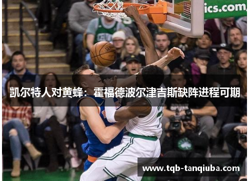 凯尔特人对黄蜂：霍福德波尔津吉斯缺阵进程可期