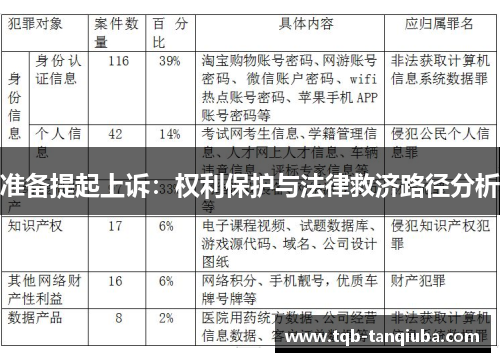 准备提起上诉：权利保护与法律救济路径分析